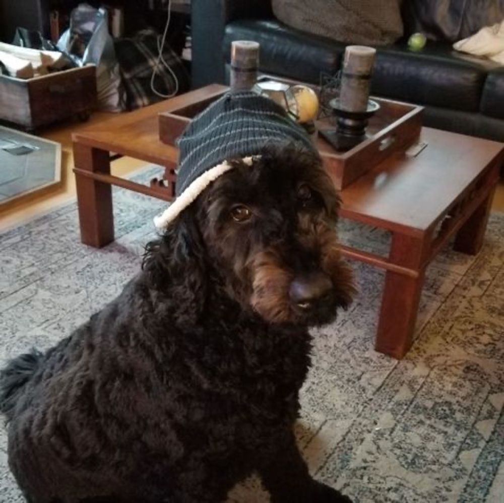 Meet your Posher, Marilyn